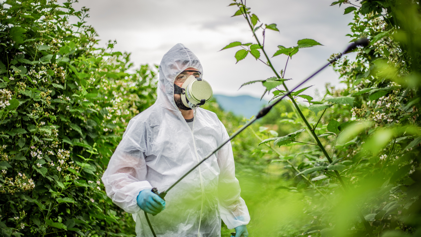 Read more about the article Identifying research priorities for a pesticide free agriculture