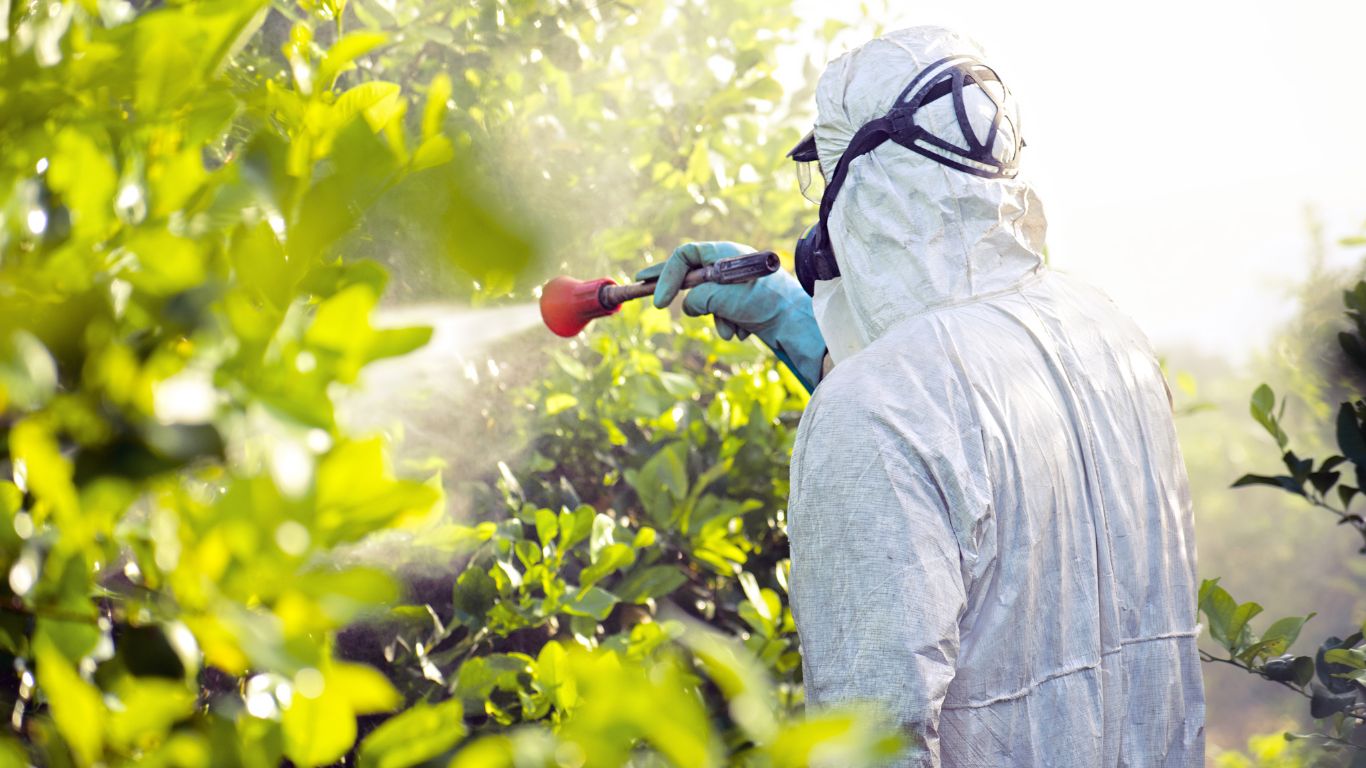 Read more about the article Use, non-use and impact of pesticides in mediterranean countries