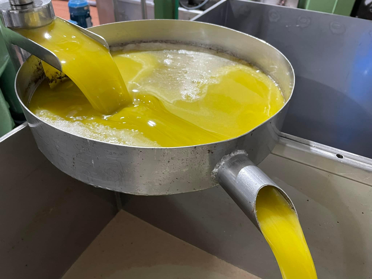 Read more about the article Portugal’s production of olive oil expected to have a record drop